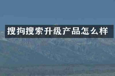 搜狗搜索升级产品怎么样