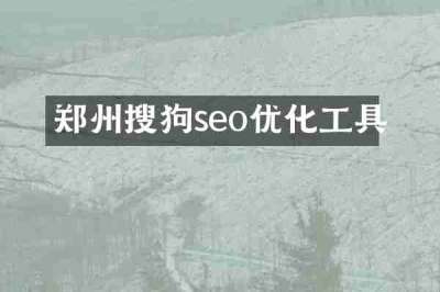 郑州搜狗seo优化工具