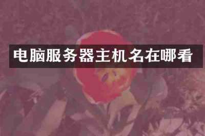 电脑服务器主机名在哪看