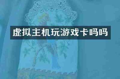 虚拟主机玩游戏卡吗吗