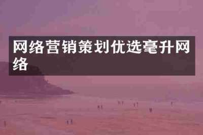 网络营销策划优选毫升网络