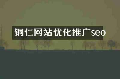 铜仁网站优化推广seo