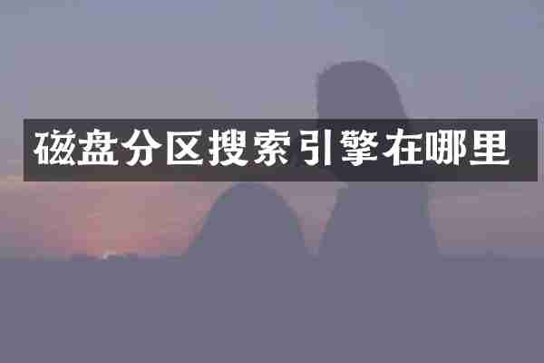磁盘分区搜索引擎在哪里