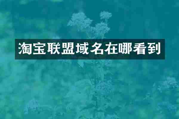 淘宝联盟域名在哪看到