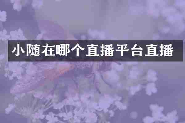 小随在哪个直播平台直播