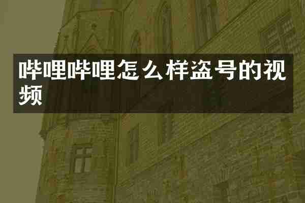 哔哩哔哩怎么样盗号的视频