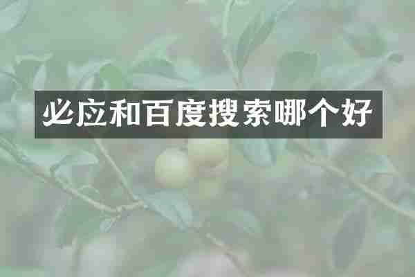 必应和百度搜索哪个好