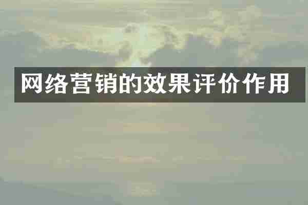 网络营销的效果评价作用