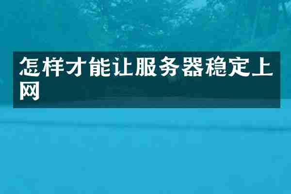 怎样才能让服务器稳定上网