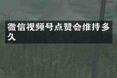 微信视频号点赞会维持多久