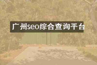 广州seo综合查询平台