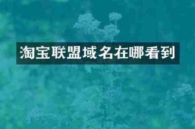淘宝联盟域名在哪看到