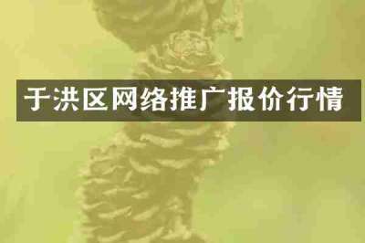 于洪区网络推广报价行情