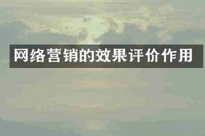 网络营销的效果评价作用