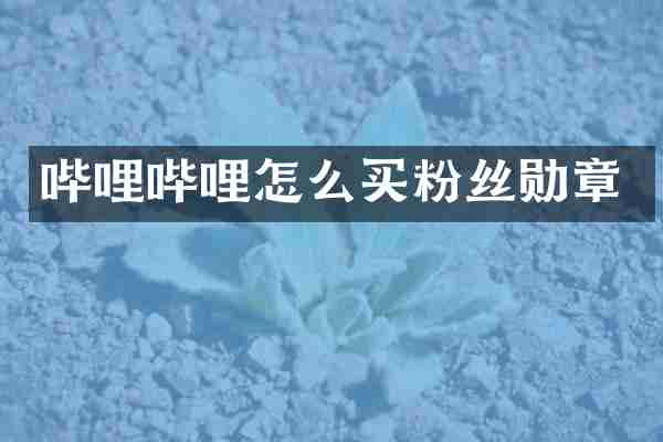 哔哩哔哩怎么买粉丝勋章