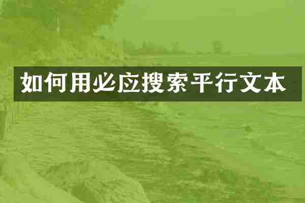 如何用必应搜索平行文本