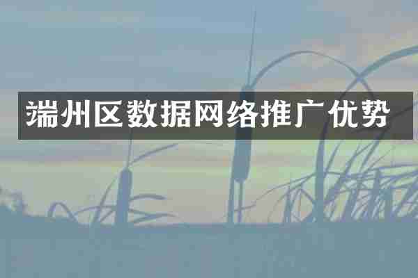 端州区数据网络推广优势