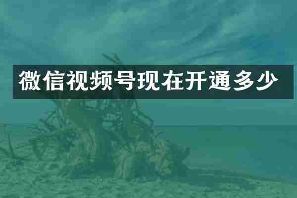 微信视频号现在开通多少