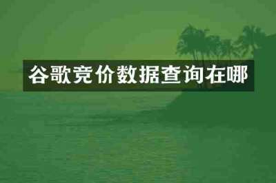 谷歌竞价数据查询在哪