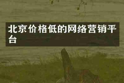 北京价格低的网络营销平台
