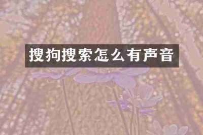 搜狗搜索怎么有声音