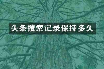 头条搜索记录保持多久