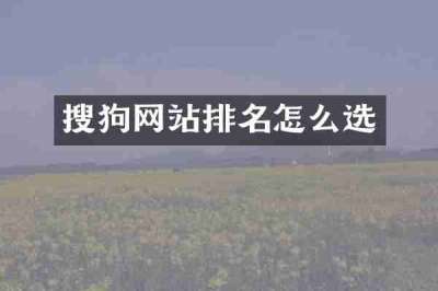 搜狗网站排名怎么选