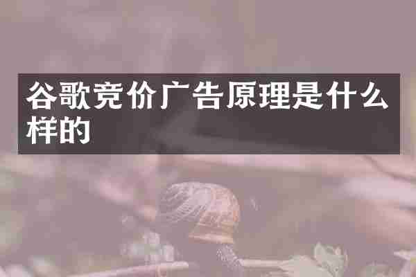 谷歌竞价广告原理是什么样的