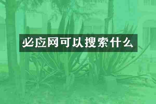 必应网可以搜索什么