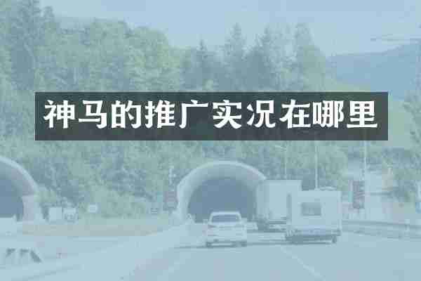 神马的推广实况在哪里