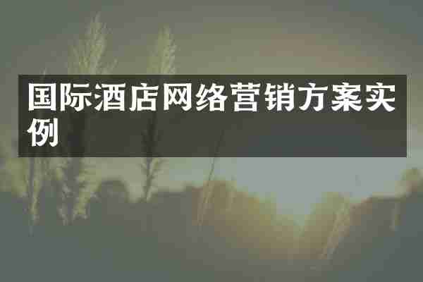 国际酒店网络营销方案实例