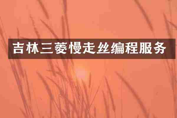 吉林三菱慢走丝编程服务