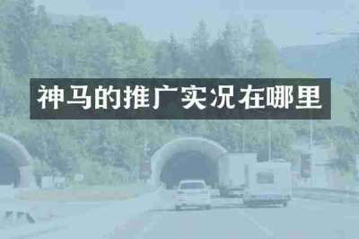 神马的推广实况在哪里