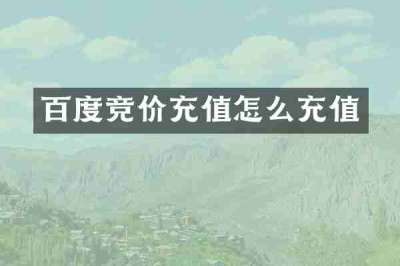 百度竞价充值怎么充值