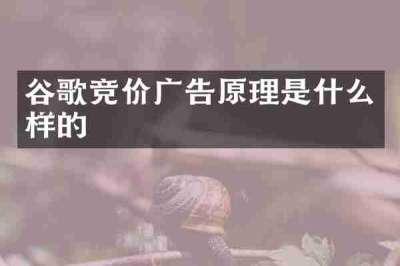 谷歌竞价广告原理是什么样的