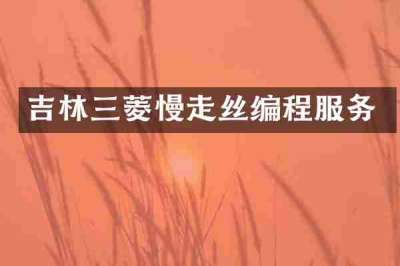 吉林三菱慢走丝编程服务
