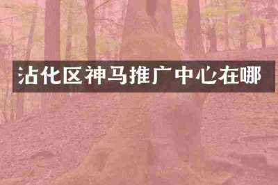 沾化区神马推广中心在哪