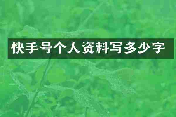 快手号个人资料写多少字