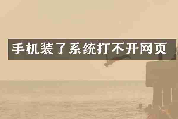 手机装了系统打不开网页