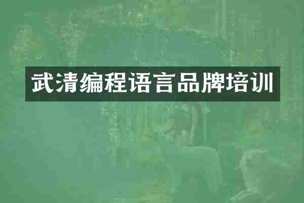 武清编程语言品牌培训