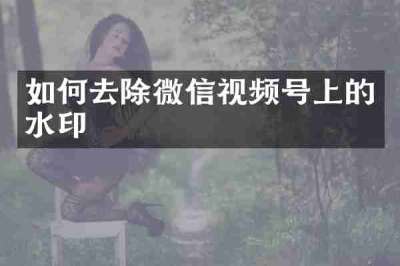 如何去除微信视频号上的水印
