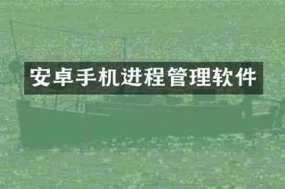 安卓手机进程管理软件