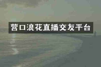营口浪花直播交友平台