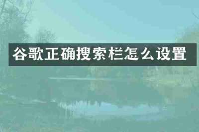谷歌正确搜索栏怎么设置