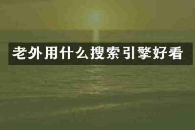 老外用什么搜索引擎好看