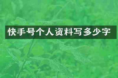 快手号个人资料写多少字