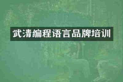 武清编程语言品牌培训