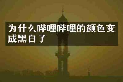 为什么哔哩哔哩的颜色变成黑白了