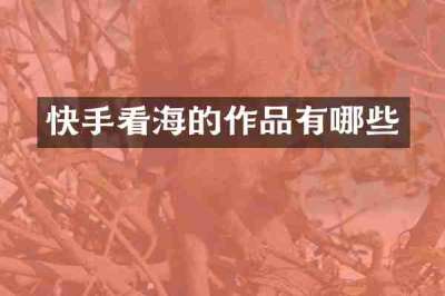 快手看海的作品有哪些