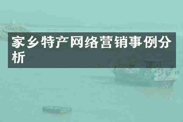 家乡特产网络营销事例分析